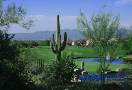 12th Hole Highlands at Dove Mountain