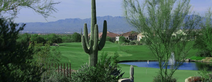 12th Hole Highlands at Dove Mountain