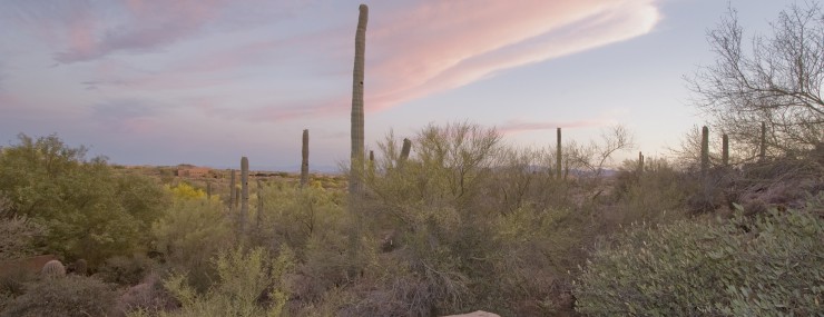 Twilight photo at Dove Mountain