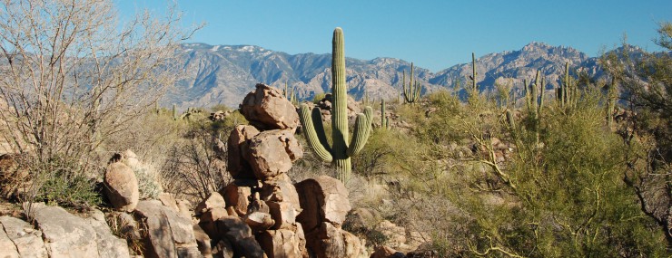 Honeybee Canyon Photo