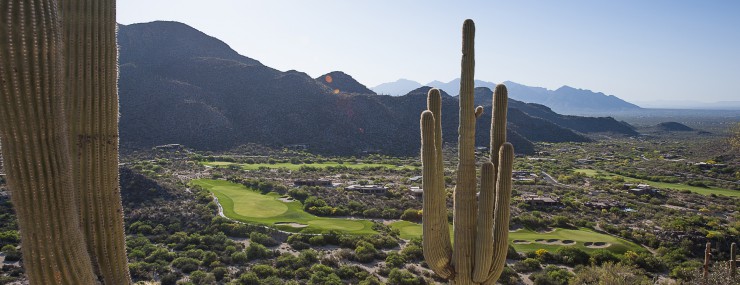 Gallery at Dove Mountain 