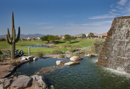 The Highlands at Dove Mountain